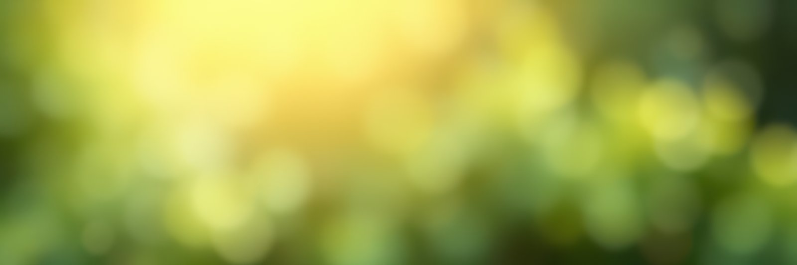 Soft sunlight filters through lush green leaves in a serene outdoor setting during summer